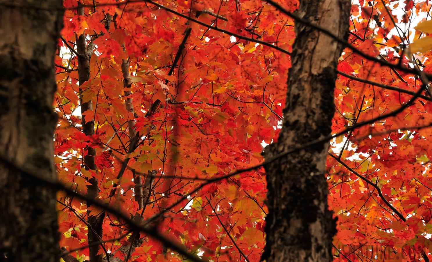 Jericho Mountain State Park [300 mm, 1/250 Sek. bei f / 11, ISO 1600]